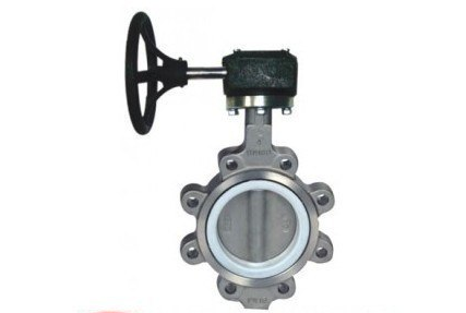 Lug Type Worm Gear Butterfly Valve